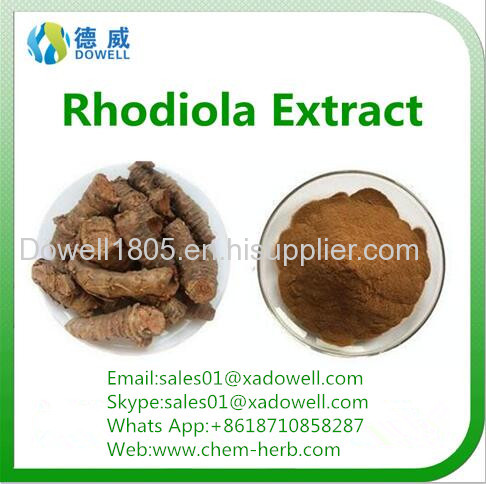 Well sold and top quality rhodiola rosea powder extract with competitive price