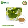 Ginkgo Biloba leaf extract bulk powder 24/6 flavone/lactone CP15
