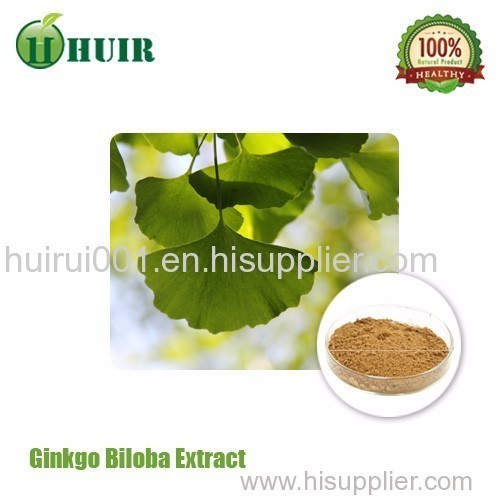 Ginkgo Biloba leaf extract bulk powder 24/6 flavone/lactone USP