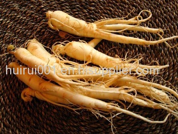 Korean Red Ginseng extract 80% ginsenosides