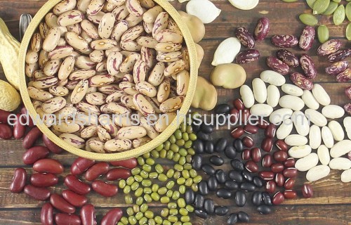 American Round Light Speckled Kidney Beans for Sale Size 200-220 2016 crop