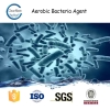 Bacteria Agent Remove BOD COD and TTS Reduce the Amount of Residual Sludge Effectively