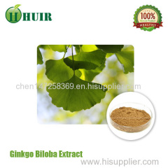 Professional manufacturer supply natural ginkgo biloba P.E.