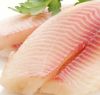 frozen tilapia fillets/export tilapia fillet