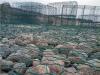 Gabion baskets/gabion box /gabion walls(factory)