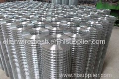 Galvanized iron Wire Mesh