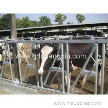 New Design Cattle Headlock for Cow Farm