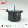 SANLY DC Cleaner motor