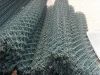 High Quality Zoo mesh / PVC Coated Chain Link Fence