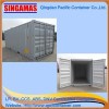 Singamas Qingdao Factory Directly Produce And Sell 20'steel Floor Container(IP2)