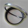 High Performance TC TB TA SA Type FKM Viton Oil Seals