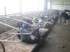 Cattle Free Stall with high quality