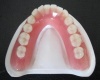 good elasticity dental plastic holder