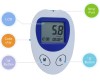 Portable blood glucose monitor