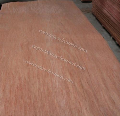 Rotary cut bintangor veneer