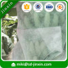wholesale UV treated pp spunbond nonwoven banana bags grape bags plant cover banana growing protection cover