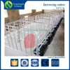 Galvanized pipe pig gestation stall pig gestation crate