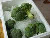 Fresh Pollution-free green health Broccoli