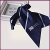 Company Corporate Organization Logo Ladies Cravats