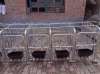 pig gestation crate sow crates for pregnancy pig gestation stalls