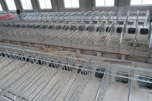 Pig Breeding Equipment/Pig Gestation/Farrowing Crates For Sale