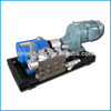 Widely Used Triplex Plunger Pump