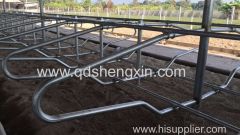 Cattle Free Stall For Farm Equipment