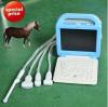 Bottom price latest model Laptop Animal Ultrasound Scanner