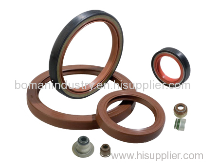 Oil Seal with Custom Size/Big Diameter Oil Seal