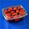 500g Transparent PET Strawberry Grape Fruit Box With Lid