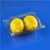 Disposable Clamshell Plastic 2pcs Kiwi Fruit Packaging