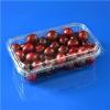 Disposable Clear PET Fruit Box For 500g Cherry