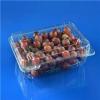 Plastic Blueberry Packing Box Clear Plastic Vegetable Box 1500g Grapes Packing Boxes