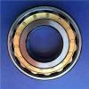 China Split Cylindrical Roller Bearing for Marine