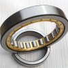 Best Price with High Quality for Single Row Cylindrical Roller Bearings from Factory