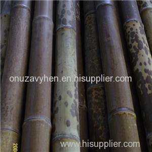 Eco-friendly Moso Natural Round Dried Bamboo Poles Sale Cheap With Best Price