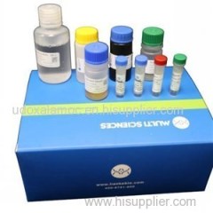 Human BAFF/BlyS/TNFSF13B ELISA Kit Plate