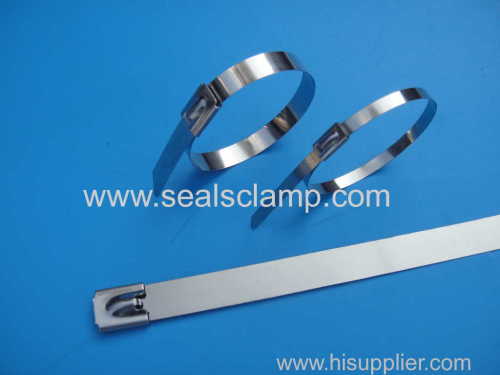 Naked stainless steel cable ties