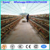 export Kenya galvanized chicken cages chicken farm hot sale A Type layer poultry battery cages