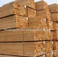 long hardwood lumber and sawn lumber & construction timber