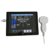 USB convex ultrasound probe ultrasound scanner