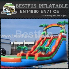 dual tropical inflatable wet slide