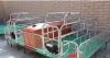 sow machinery Farrowing Crate for pig farming