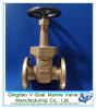 JIS Marine cast iron gate valve used in shipbuilding