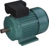 Electric Single/Three Phase Motor