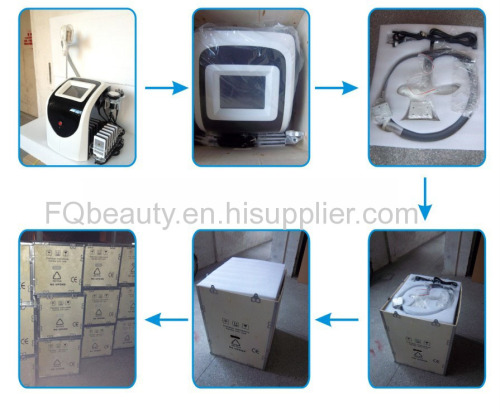 FQA19 Cryolipolysis lipo laser slimming machine