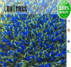 Fantastic High Density Artificial Grass Landscaping Coloured Artificial Turf PE Material