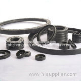 SA Oil Seal in NBR FKM