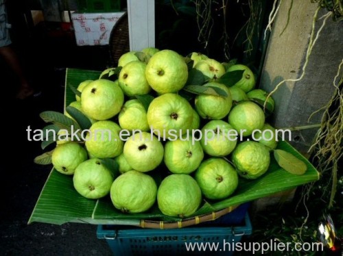 fresh guava guava fruit