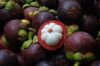 Fresh Mangosteen from thailand